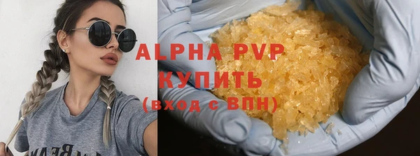 PSILOCYBIN Баксан