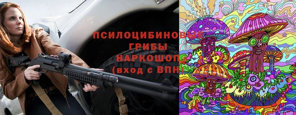 PSILOCYBIN Баксан