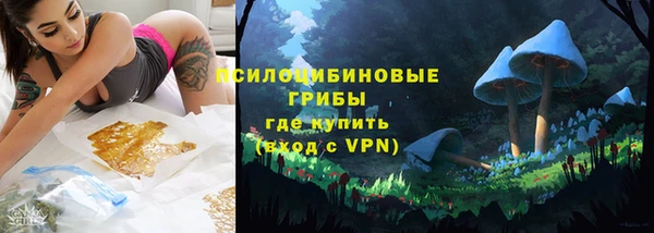 PSILOCYBIN Баксан
